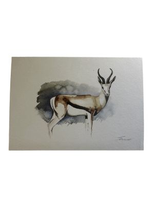 Card SPRINGBOK A6 SkillyArt