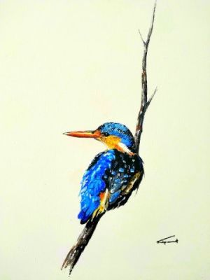 Card MALACHITE KINGFISHER  A6 SkillyArt