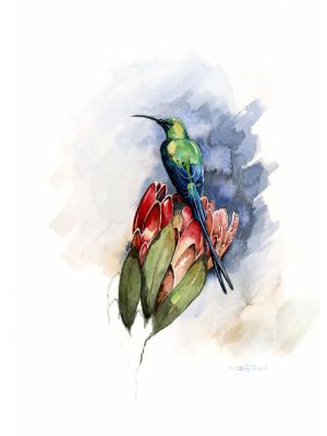 Card MALACHITE SUNBIRD A6 SkillyArt