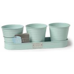 BurgonBall Sophie Conran  Herb Pots Blue  DSCNTD