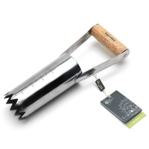 BurgonBall RHS Stainless Hand Bulb Planter