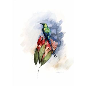 Card MALACHITE SUNBIRD A6 SkillyArt