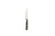 Comas LHOTSE STEAK KNIFE GREEN Pakkawood Half-serrated