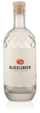 Bloedlemoen Handcrafted Original Gin 750ml