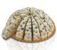 Quaranta Nougat Cake Small Pistachio 110g Wrapped