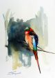 Card CARMINE BEE EATER  A6 SkillyArt