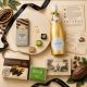 Chocolate Artisan Gourmet Voyage of Discovery 
