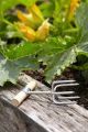 Burgon & Ball Sophie Conran Twist Cultivator 