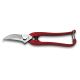 Grape Harvest Shears 18cm