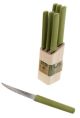 Jean Dubost Eco 6 Steak Knives Block with Green BioPlastic Handles