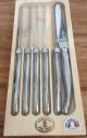 Laguiole Jean Dubost 6 Table Knives with Stainless Steel Handle