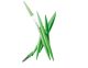 Legnoart SPICY GREEN 6 Steak Knives holder