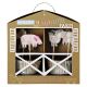 Meri Meri Happy Little Farm Cupcake Kit