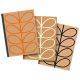 W&W OrlaKiely Large Kraft Notebooks Set3 Linear Stem
