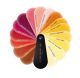 L'Atelier Du Vin Colour Chart Pocket RobesDuVin