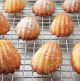 Tala Performance Non-Stick 12 Cup Madeleine Pan