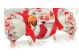 Virginia Panettone-mini 100 g Winky Santa Bon Bon  25-26